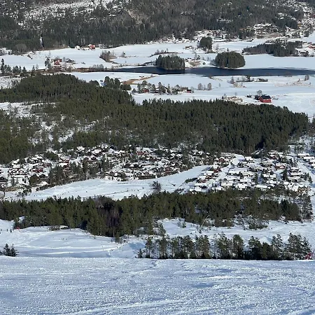New Vradal - Sunny - Fantastic Hiking Areas Vakantiehuis