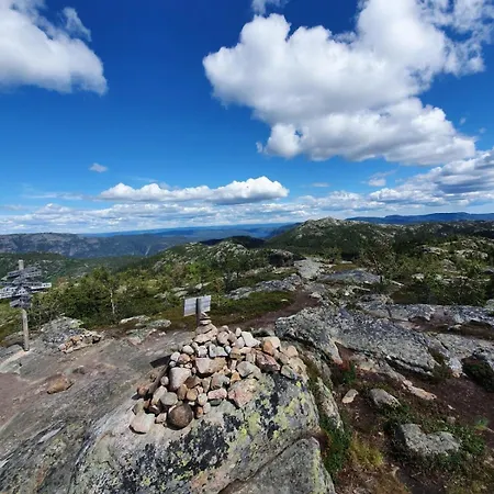 New Vradal - Sunny - Fantastic Hiking Areas Vakantiehuis