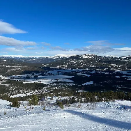 Vakantiehuis New Vradal - Sunny - Fantastic Hiking Areas Kviteseid