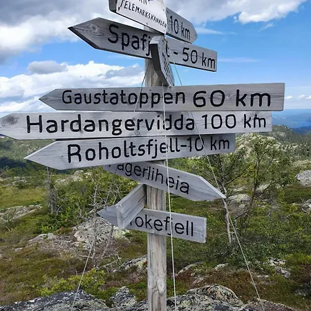 Vakantiehuis New Vradal - Sunny - Fantastic Hiking Areas *